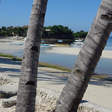 Hotel The Shark'S Tail Dive Center Daanbantayan Esterno foto