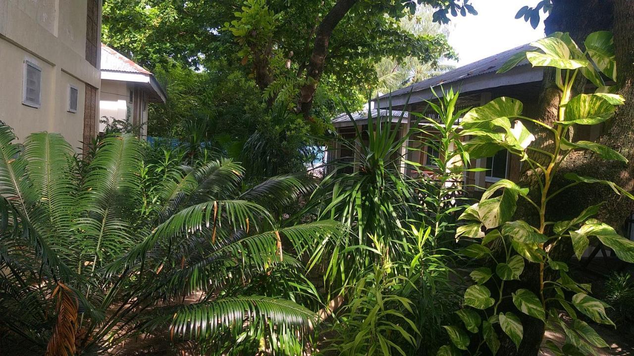 Hotel The Shark'S Tail Dive Center Daanbantayan Esterno foto