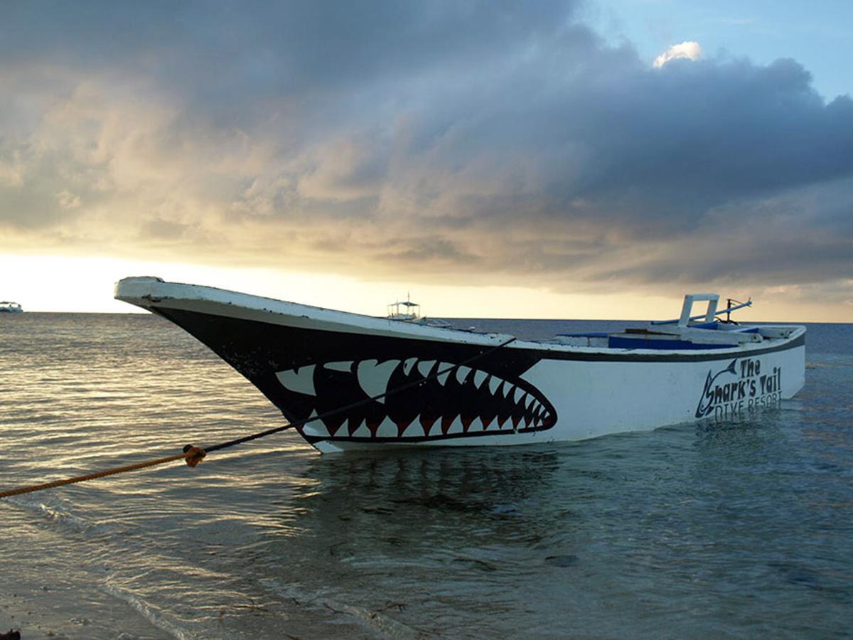 Hotel The Shark'S Tail Dive Center Daanbantayan Esterno foto